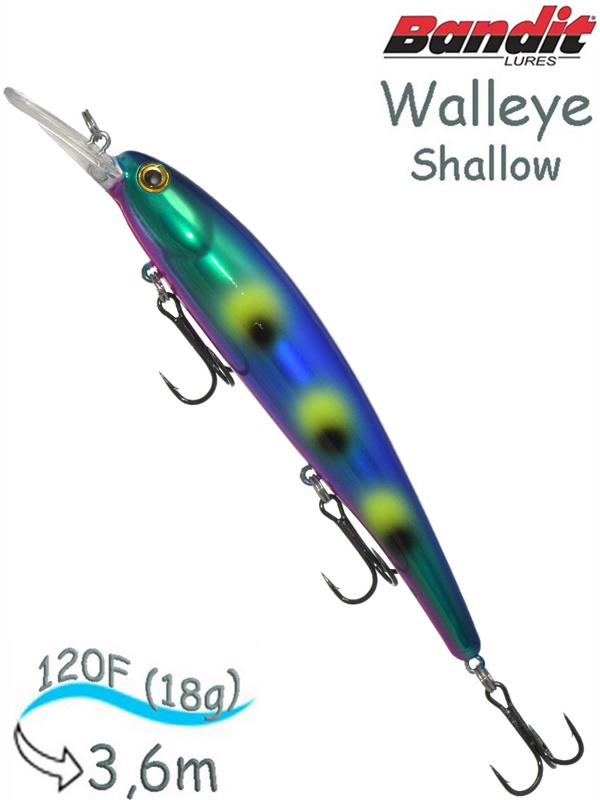 BDTWBS1 B12 Walleye Shallow