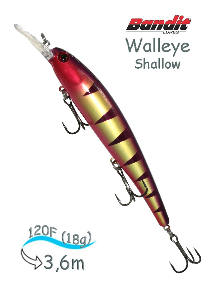 BDTWBS1 B13 Walleye Shallow