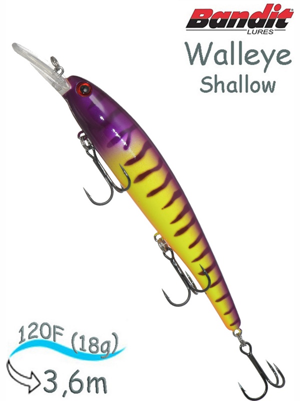 BDTWBS1 B18 Walleye Shallow