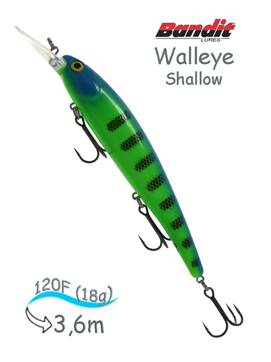 BDTWBS1 B42 Walleye Shallow