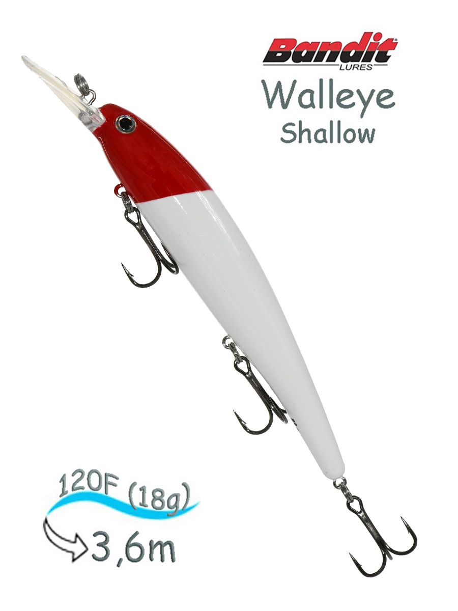 BDTWBS1 D81 Walleye Shallow