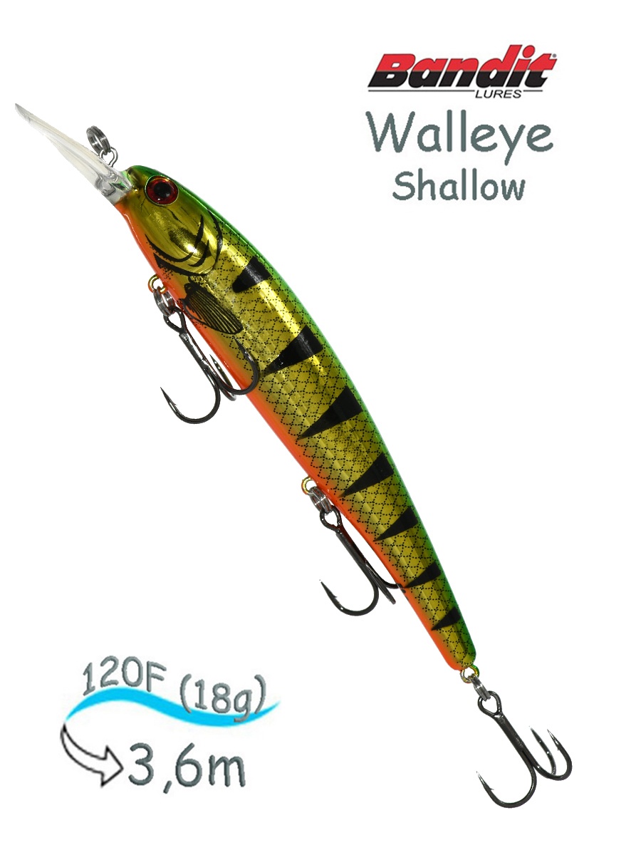 BDTWBS1 D90 Walleye Shallow