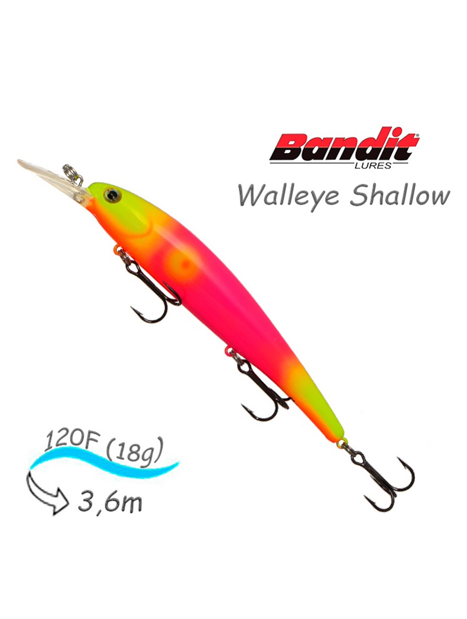 BDTWBS1 OL147 Walleye Shallow - фото