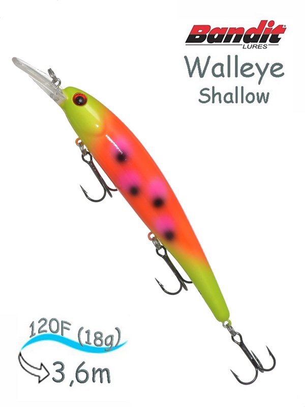 BDTWBS1 OL153 Walleye Shallow