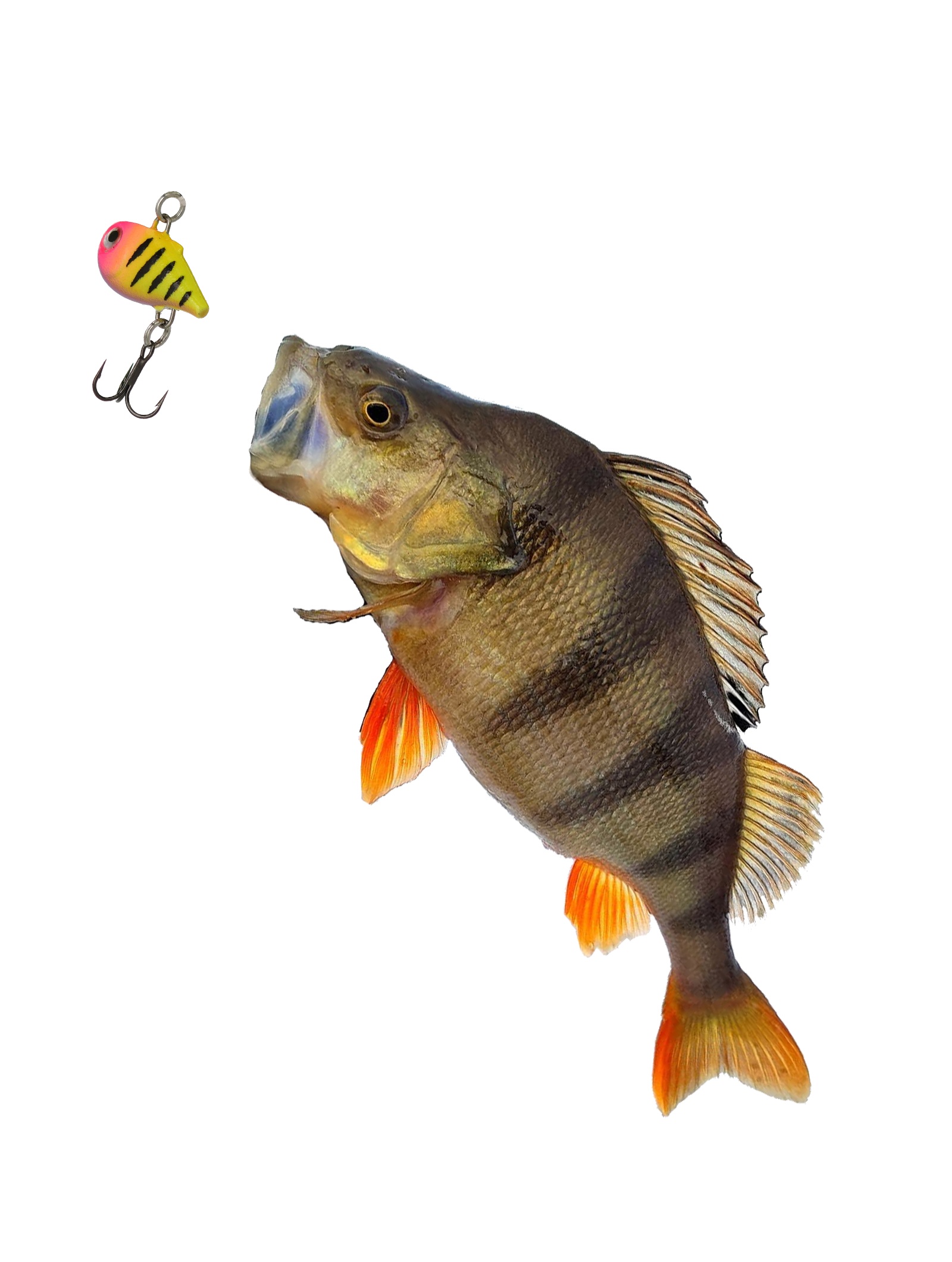 NR02-GHSP Nano Rap - фото3