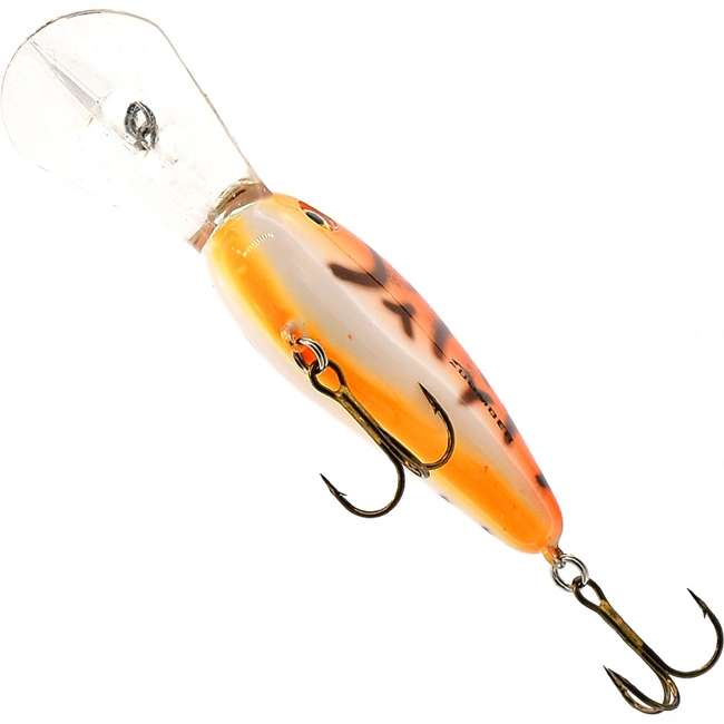 BD6 FTGP Fat Free Shad Jr .