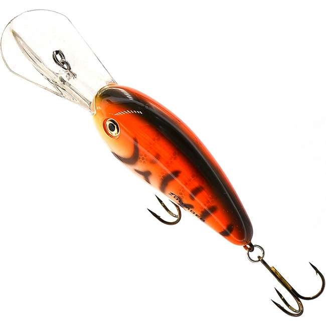 BD6 FTGP Fat Free Shad Jr .