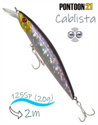 Cablista 125 SP-SMR-A12 - фото