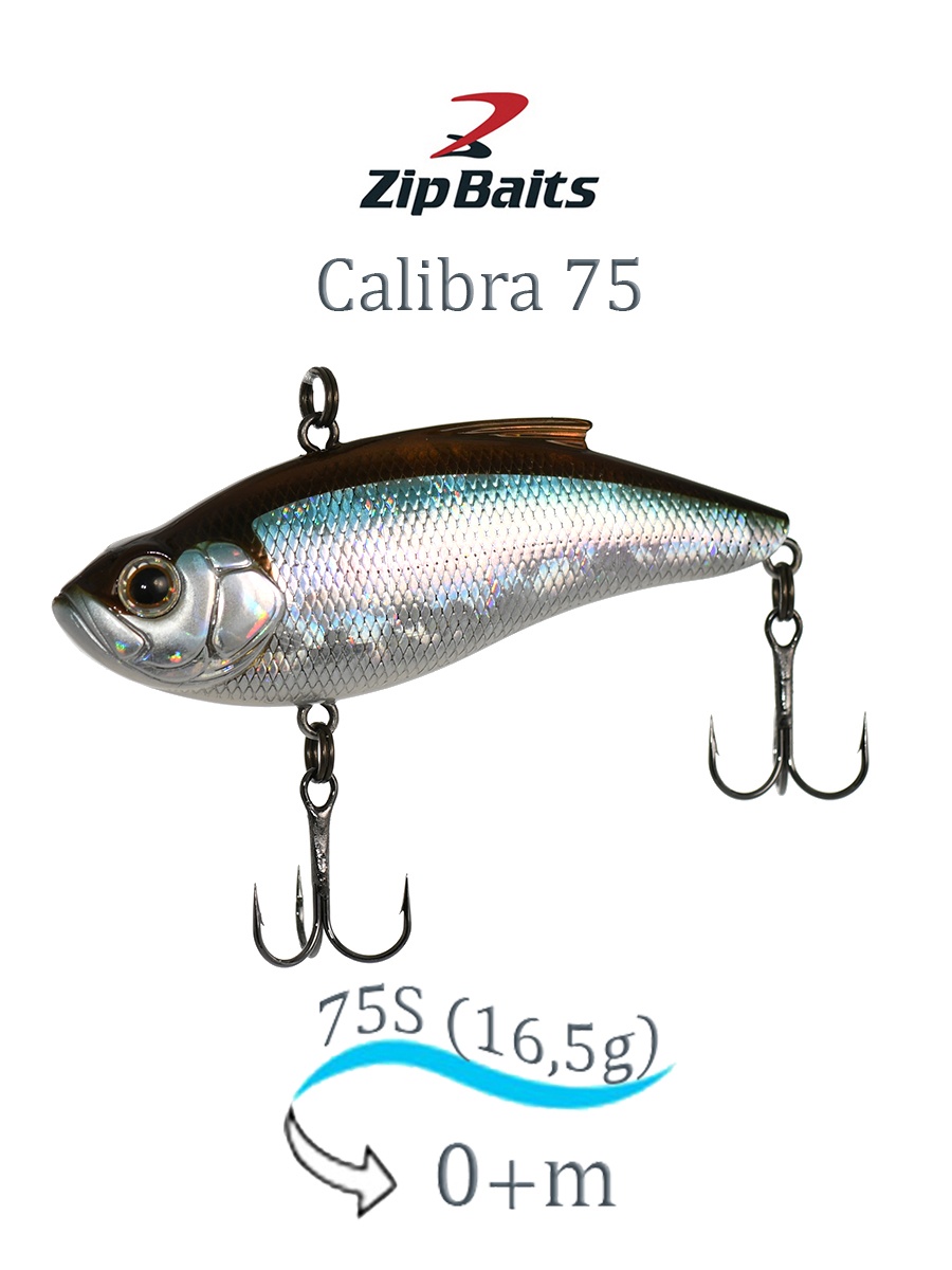 Calibra 75-022