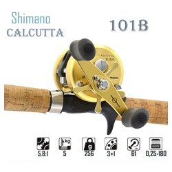 Calcutta 101 B (LH) - фото