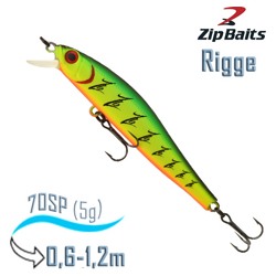 Rigge 70 SP-100M - фото
