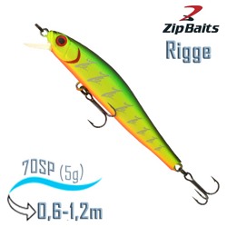 Rigge 70 SP-101M - фото