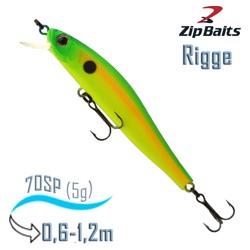 Rigge 70 SP-674 - фото
