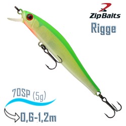 Rigge 70 SP-998 - фото