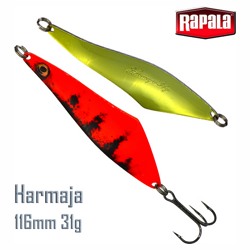 Harmaja 31 RTG - фото