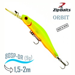 Orbit  80 SP-DR-564M - фото