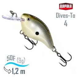 DT04 PGS Dives-To - фото