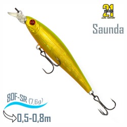 Saunda 80 F-SR A63 - фото
