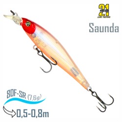 Saunda 80 F-SR A17 - фото