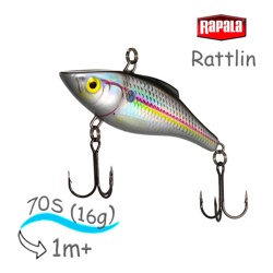 RNR07 HSD Rattlin - фото