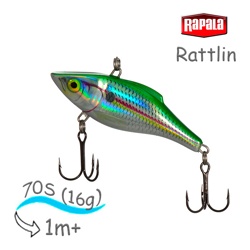 RNR07 HESD Rattlin - фото