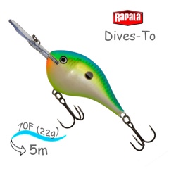 DT16 CTSD Dives-To - фото