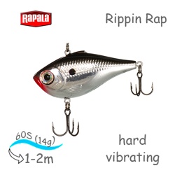 RPR06 CH Rippin Rap - фото