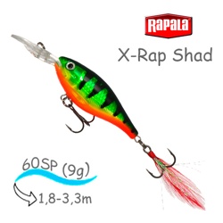 XRS06 FT X-Rap Shad - фото