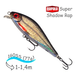 SSDR16 ROL Super Shadow Rap - фото