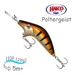 Poltergeist-110 R06 - фото