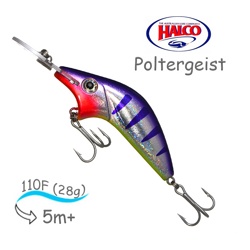 Poltergeist-110 R24 - фото