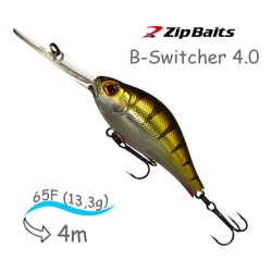 B-Switcher 40 - 401 Rattler - фото