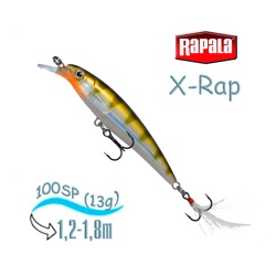 XR10 YP X-Rap - фото