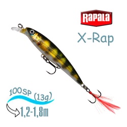 XR10 PEL X-Rap - фото