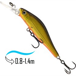 Aggression 50 SP-DR 06 - фото