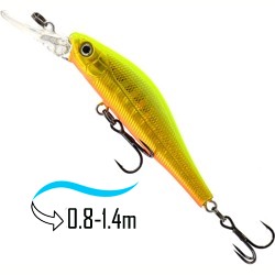 Aggression 50 SP-DR 14 - фото