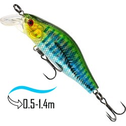 Diaction 65 SP-SR 04 - фото