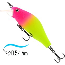 Diaction 65 SP-SR 20 - фото