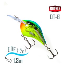 DT06 PRT Dives-To - фото