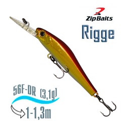 Rigge 56 F-DR 703R - фото