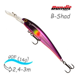 BDTB B14 B-Shad - фото