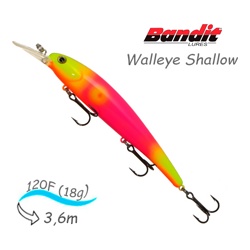 BDTWBS1 OL147 Walleye Shallow - фото