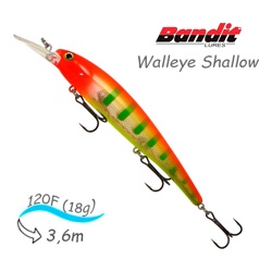 BDTWBS1 B25 Walleye Shallow - фото