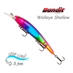 BDTWBS1 B22 Walleye Shallow - фото