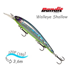 BDTWBS 101 Walleye Shallow - фото
