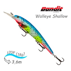 BDTWBS 167 Walleye Shallow - фото