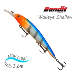 BDTWBS1 OL151 Walleye Shallow - фото