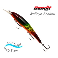 BDTWBS1 OL158 Walleye Shallow - фото