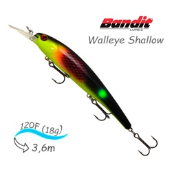 BDTWBS1 OL152 Walleye Shallow - фото