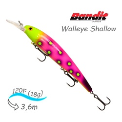 BDTWBS1 OL108 Walleye Shallow - фото
